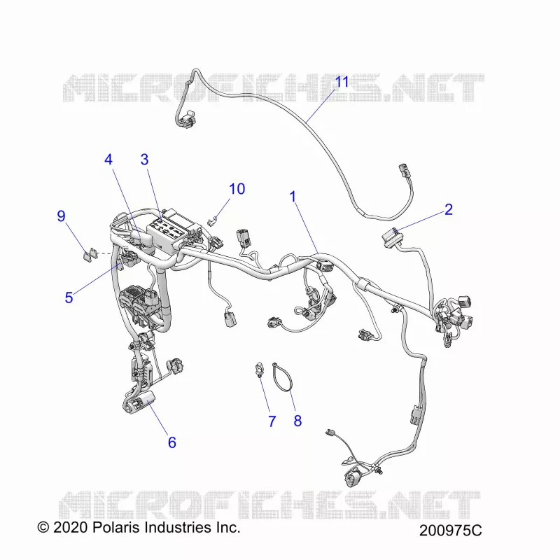 ELECTRICITE, WIRE HARNESS