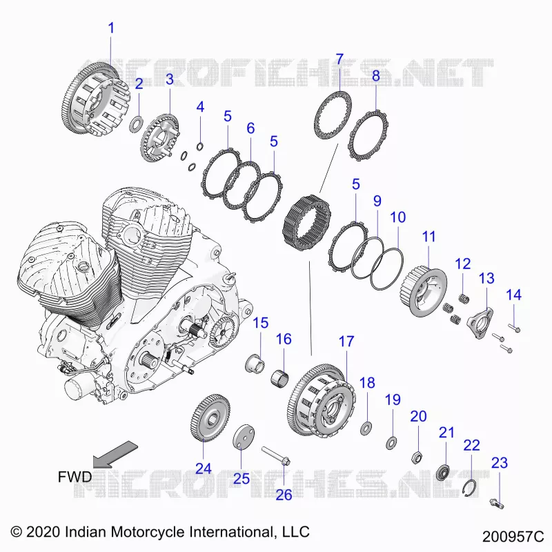 SYSTÃˆME DE TRANSMISSION, CLUTCH AND PRIMARY DRIVE