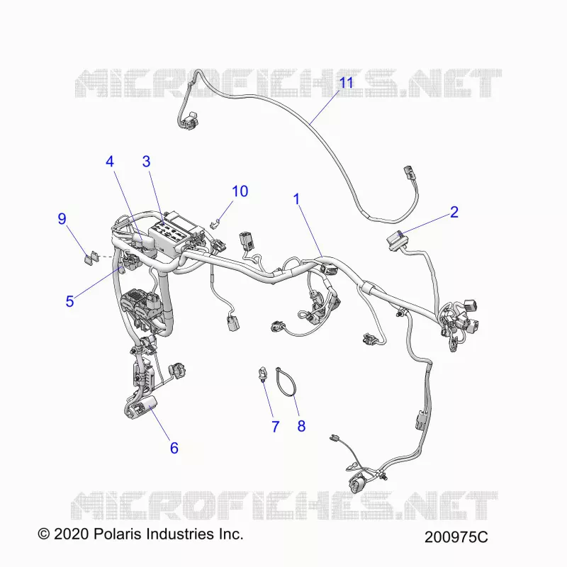 ELECTRICITE, WIRE HARNESS