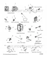 ELECTRICITE, COMPONENTS