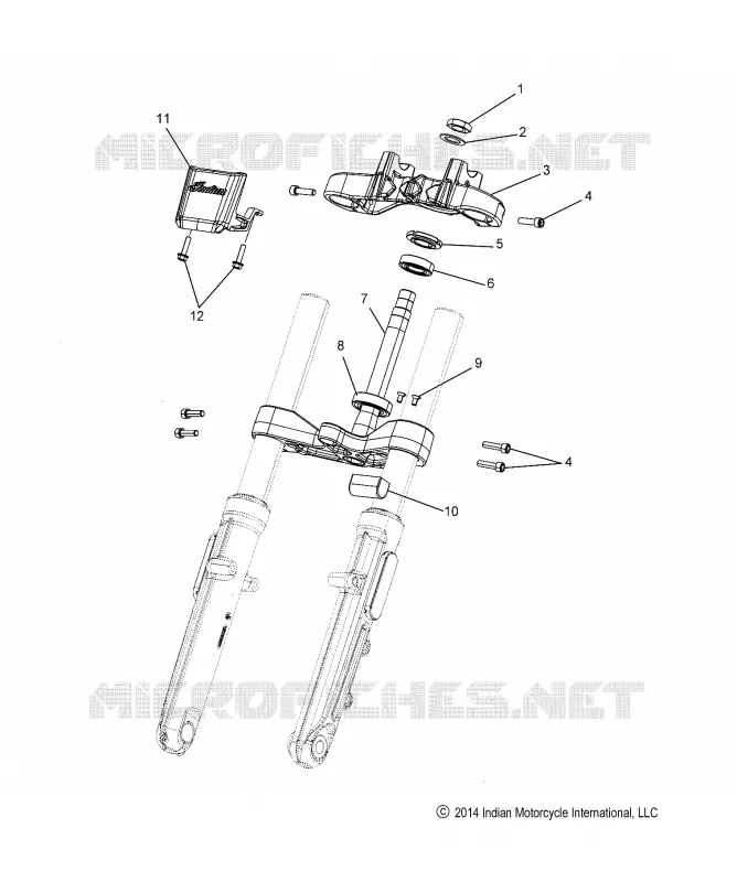 TES DE FOURCHE INFERIEUR ET SUPERIEUR