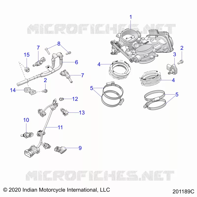 ENGINE, CORPS DE PAPILON AND FUEL RAIL