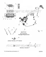 ELECTRICITE, WIRE HARNESS