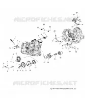ENGINE, OIL SYSTEM - N15MSA00AA/AB/AC/AE (49INDIANOILFILTER15SCOUT)