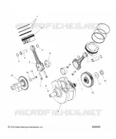 ENGINE, PISTON AND VILEBREQUIN