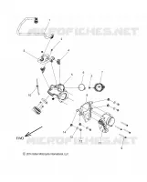 FUEL SYSTEM, FUEL RAIL/CORPS DE PAPILON